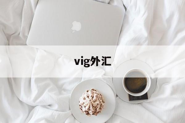 vig外汇(viggleai官网入口)